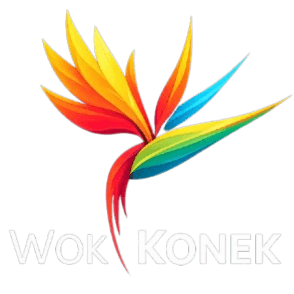 Wok Konek